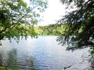 GreenLakesRun_trail3